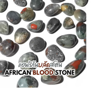 African Bloodstone Tumble